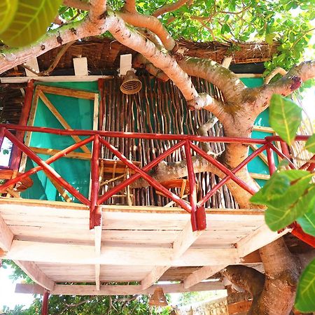 شاطئ دياني Diani Hostel المظهر الخارجي الصورة