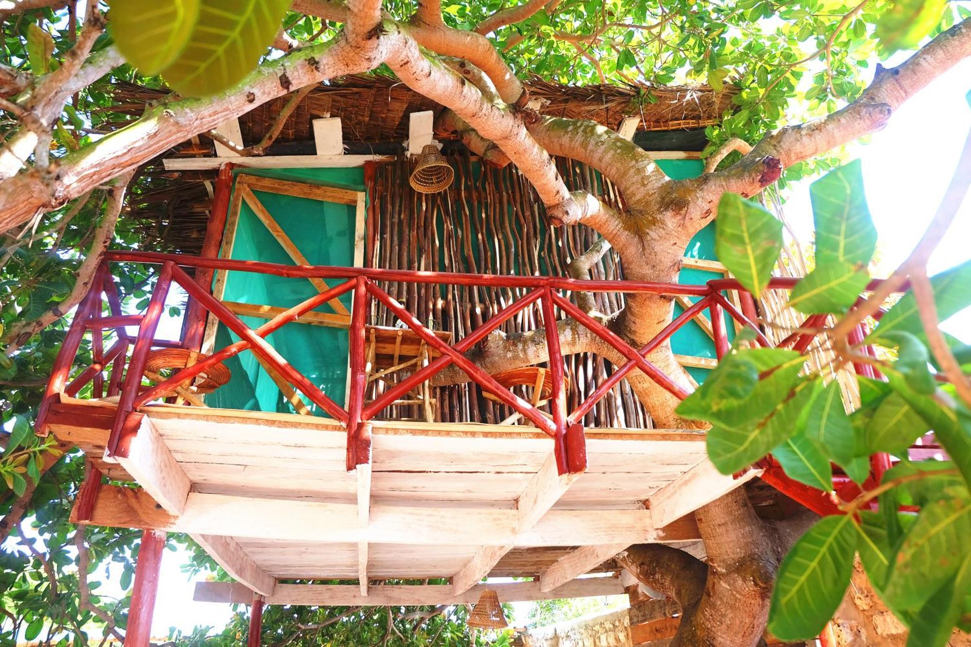 شاطئ دياني Diani Hostel المظهر الخارجي الصورة
