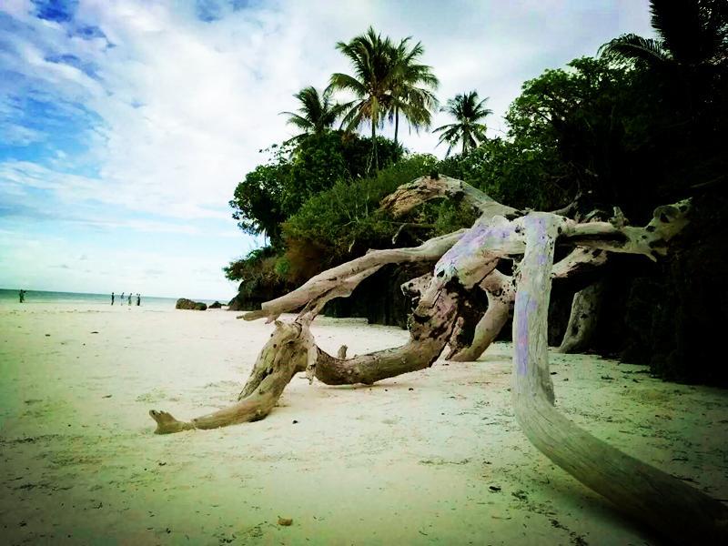 شاطئ دياني Diani Hostel المظهر الخارجي الصورة