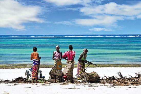 شاطئ دياني Diani Hostel المظهر الخارجي الصورة
