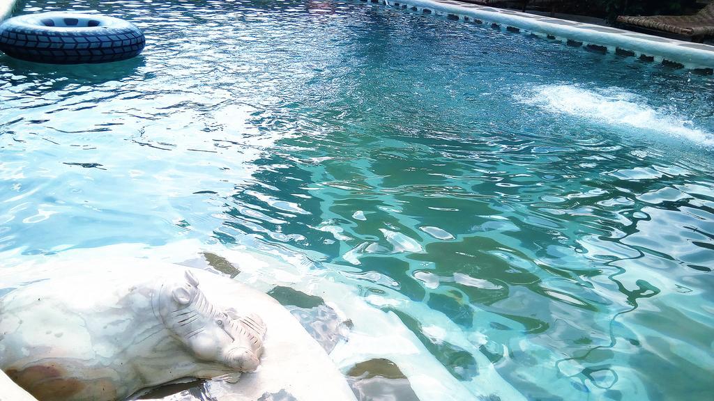 شاطئ دياني Diani Hostel المظهر الخارجي الصورة