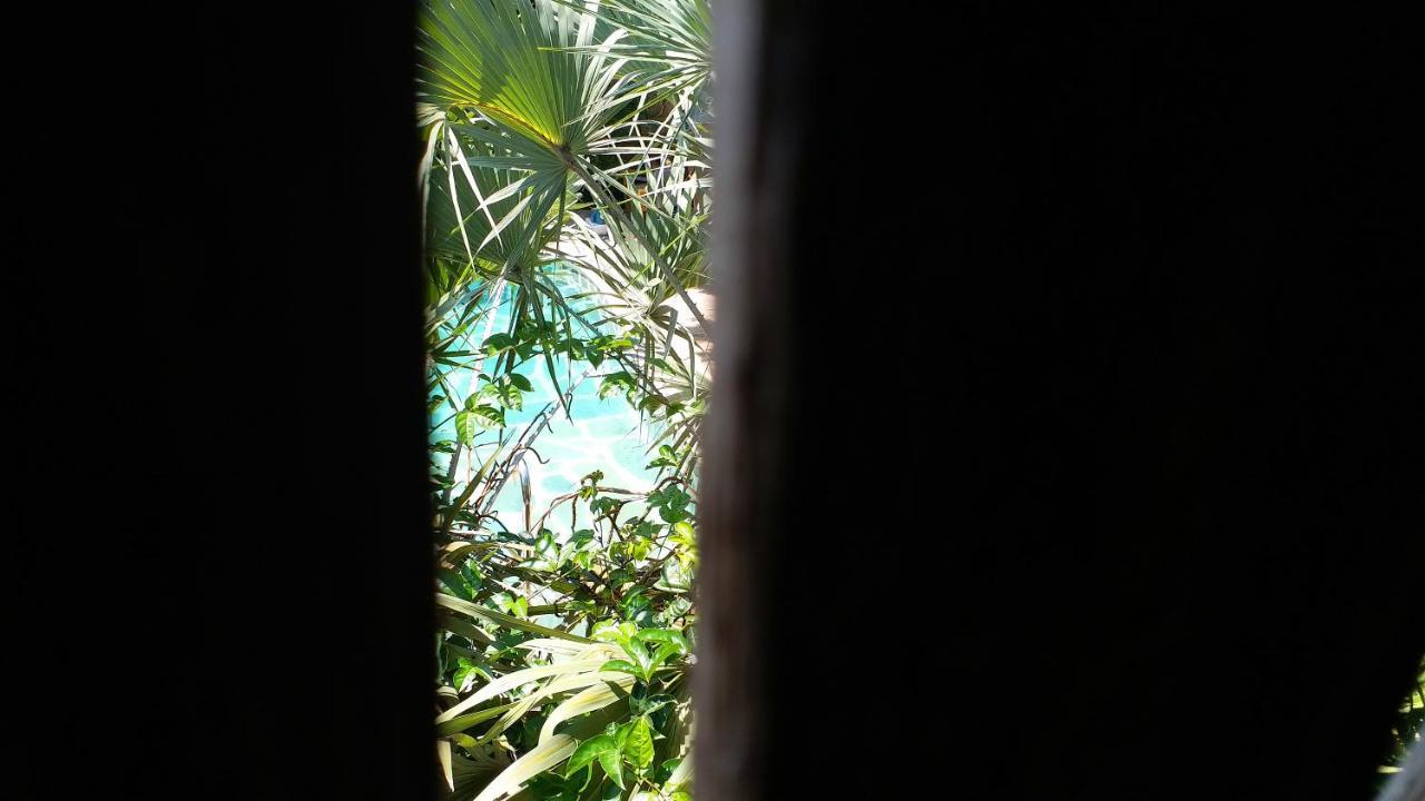 شاطئ دياني Diani Hostel المظهر الخارجي الصورة