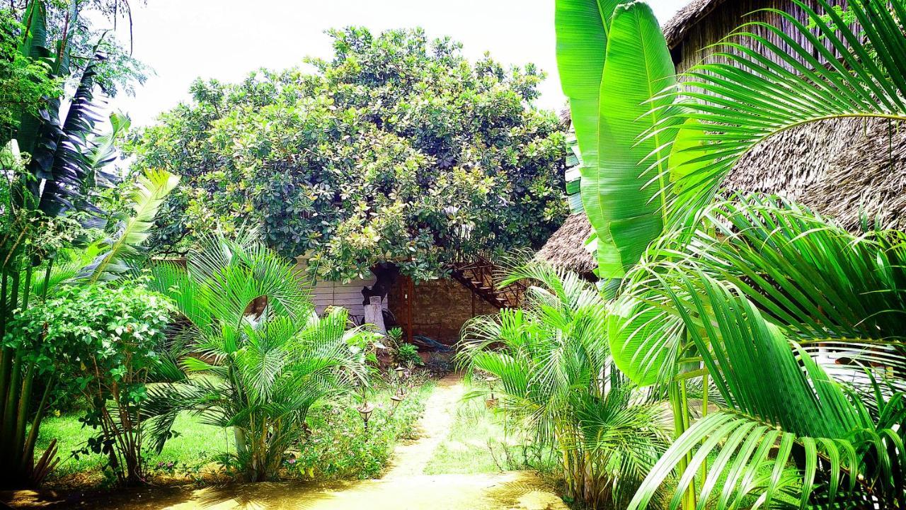 شاطئ دياني Diani Hostel المظهر الخارجي الصورة